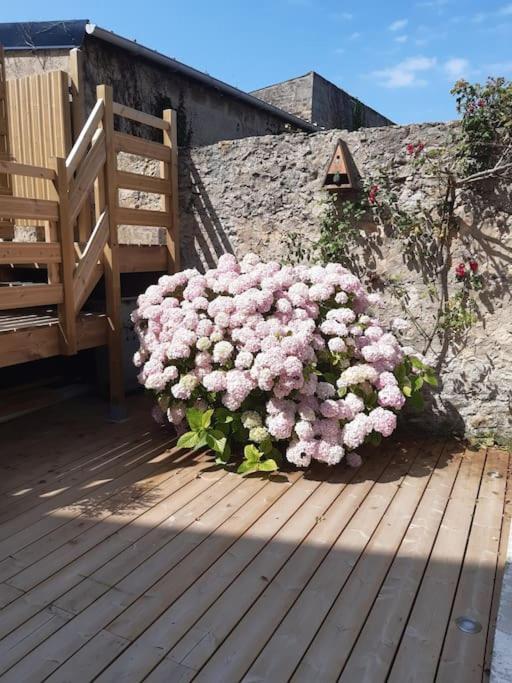 Champetre - Gite Entierement Neuf A 100 Metres De La Plage Wimereux Exterior foto